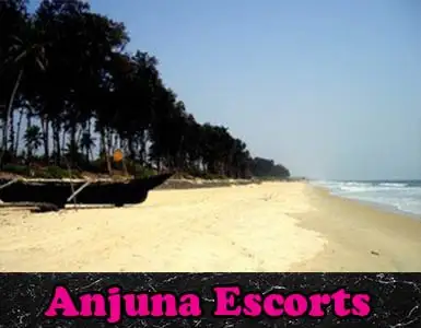  escorts Goa